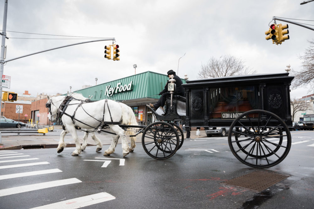 The F.G. Guido Funeral Home in Carroll Gardens brought out its 1888 Studebaker horse-drawn hearse for the first time in 11 years for a funeral procession on Feb. 7, 2020. Photo: Paul Frangipane/Brooklyn Eagle