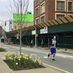 Part of Bushwick Avenue was temporarily closed to provide open space for fresh-air seekers during the coronavirus lockdown. Photo: Lore Croghan/Brooklyn Eagle