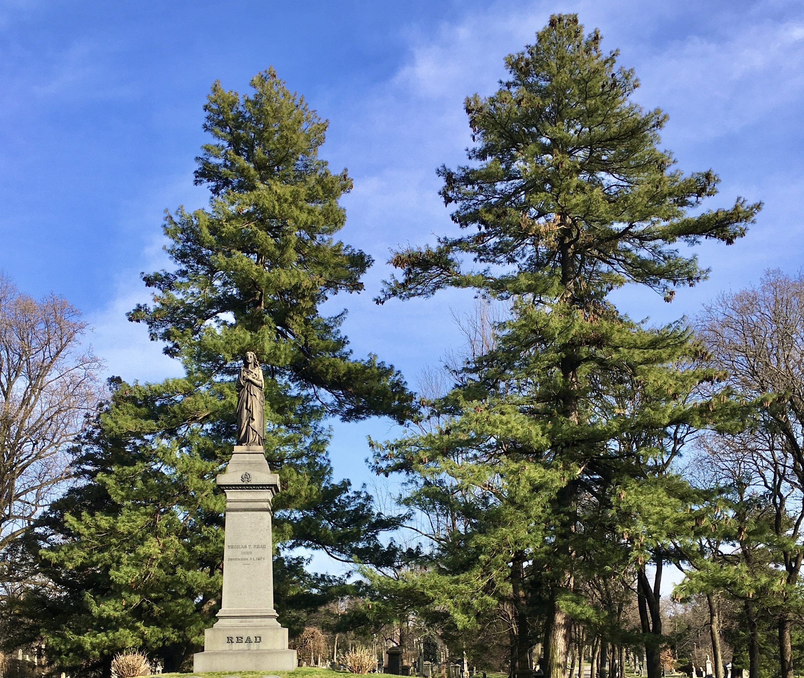 The trees behind Thomas T. Read’s monument are tremendously tall. Photo: Lore Croghan/Brooklyn Eagle