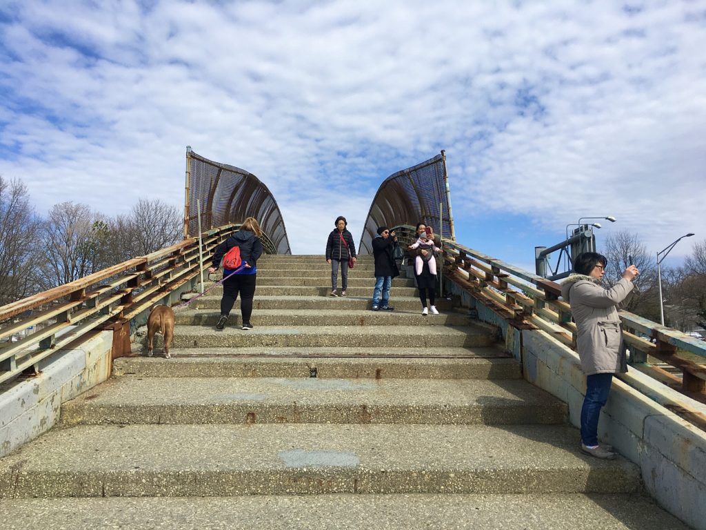 Everybody’s taking pictures on the steps of the Belt Parkway overpass. Photo: Lore Croghan/Brooklyn Eagle