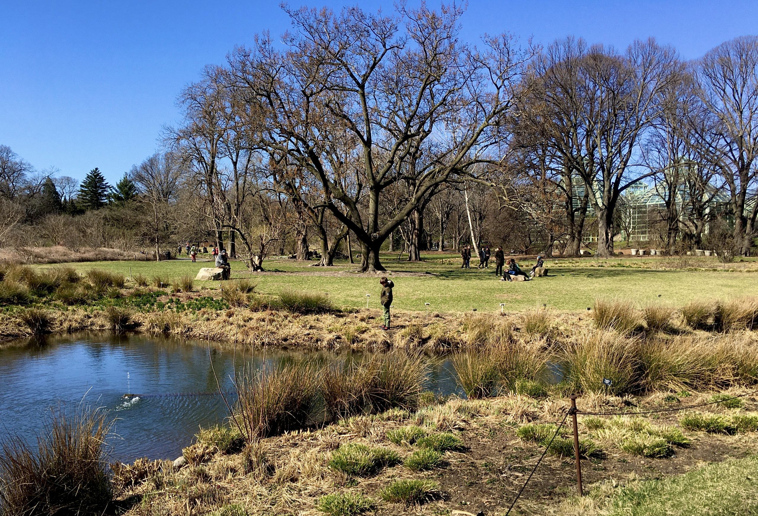 Visitors enjoyed a tranquil day before Brooklyn Botanic Garden closed to help prevent the spread of the coronavirus. Photo: Lore Croghan/Brooklyn Eagle