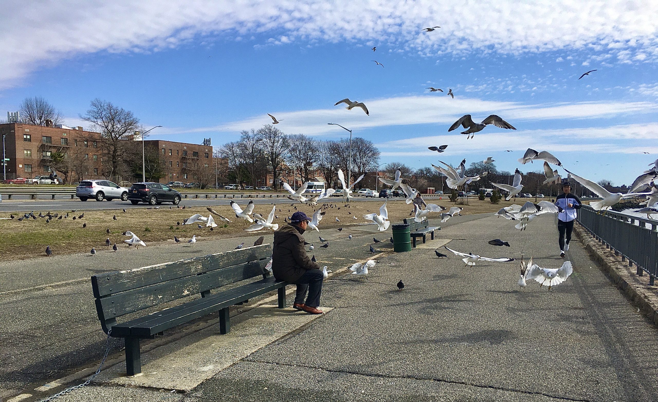 Feed the birds, tuppence a bag. On Bath Beach’s waterside promenade. Photo: Lore Croghan/Brooklyn Eagle
