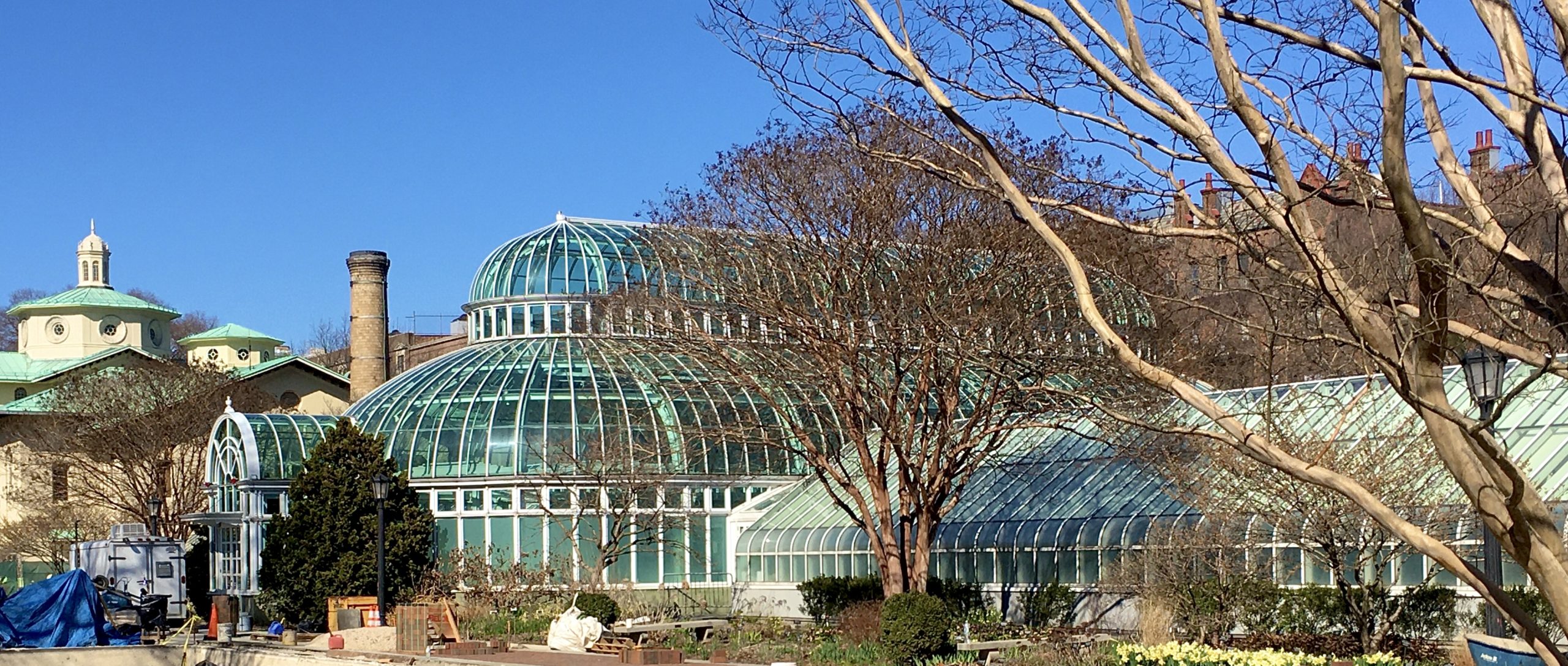 When I visited Brooklyn Botanic Garden, the greenhouses had already been closed to keep people from standing close to one another. Photo: Lore Croghan/Brooklyn Eagle