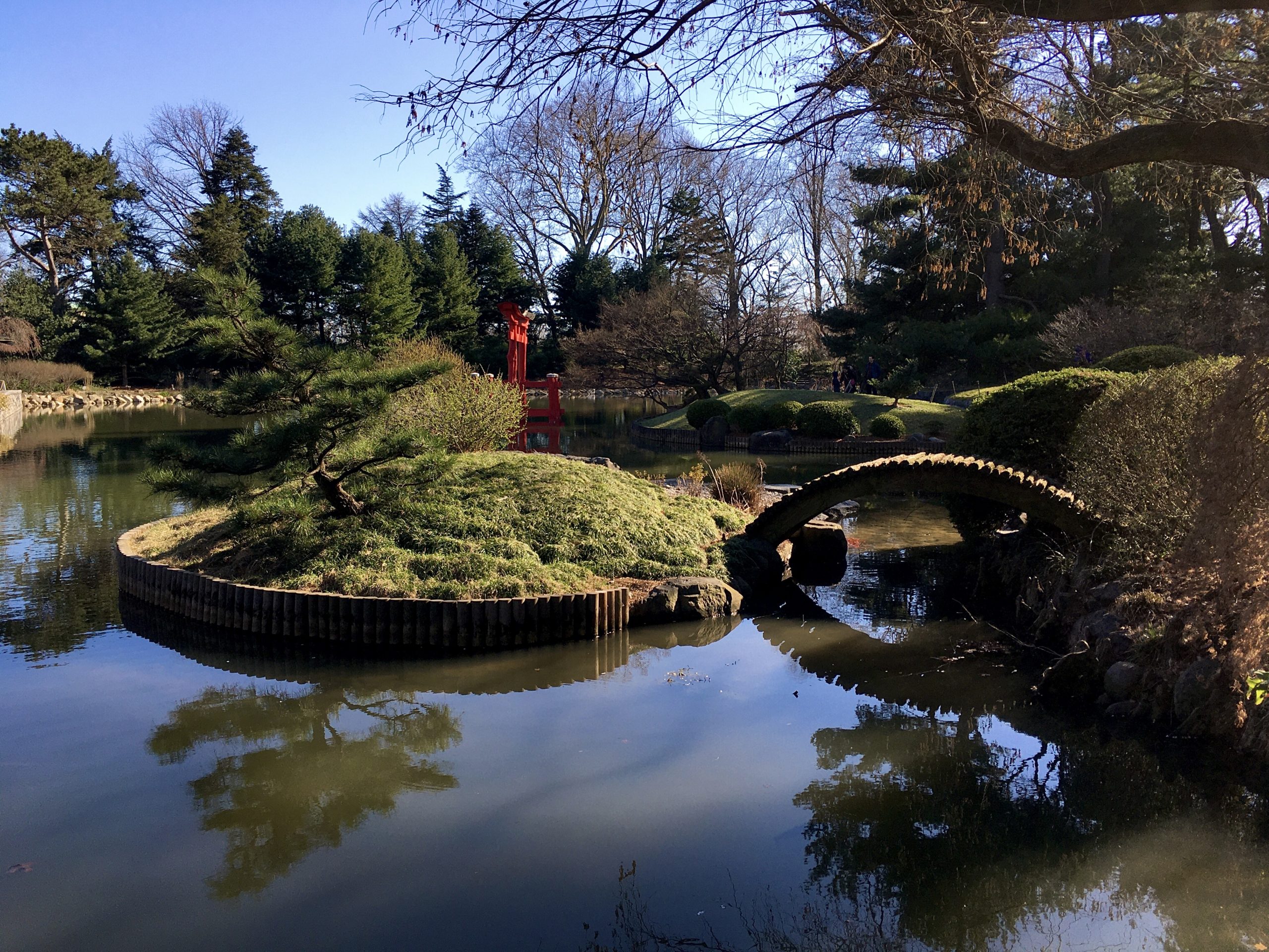 The Japanese Hill-and-Pond Garden looked so picturesque on the day of my visit. Photo: Lore Croghan/Brooklyn Eagle