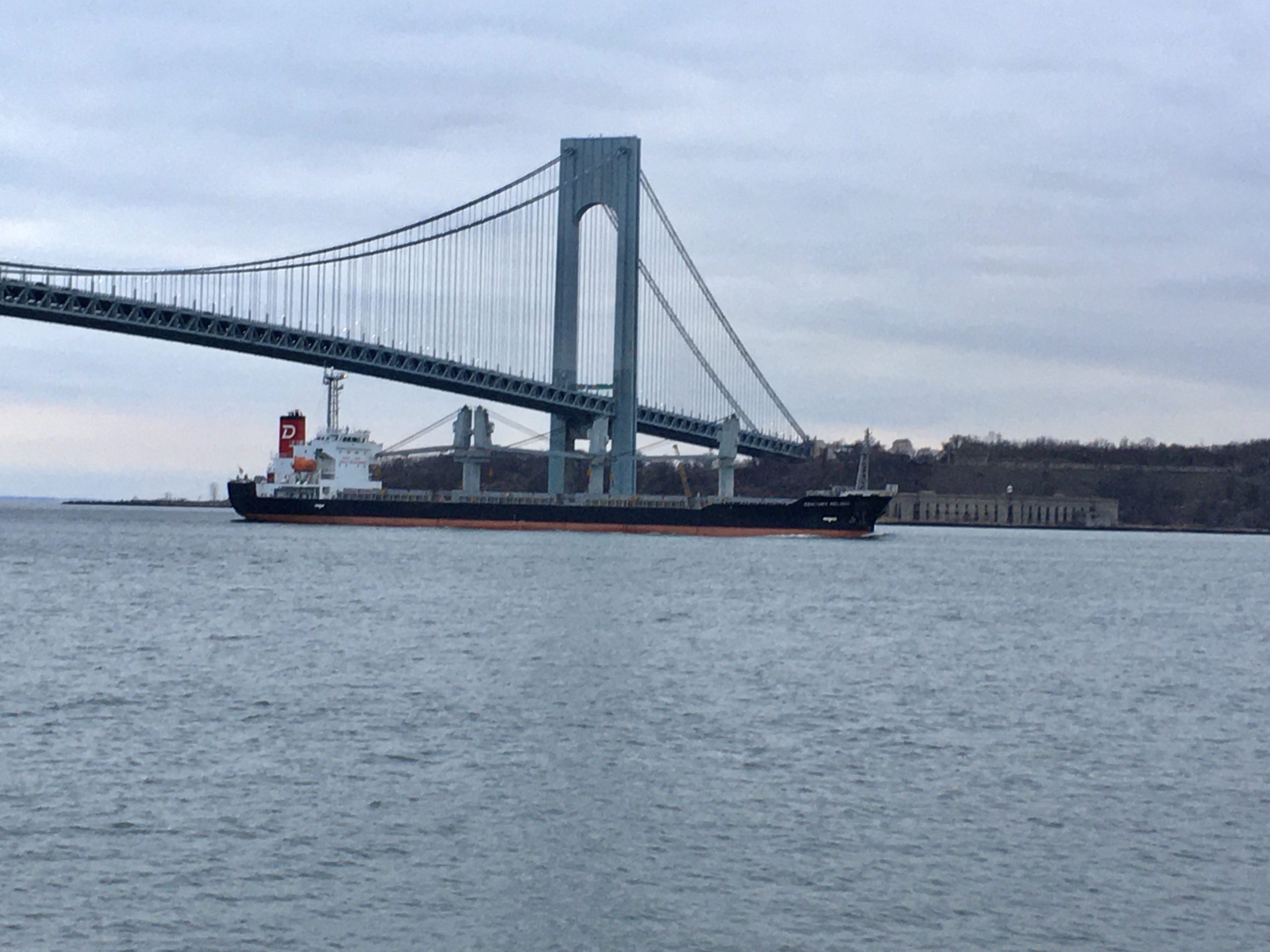 A ship passes beneath the Verrazzano-Narrows Bridge. Photo: Lore Croghan/Brooklyn Eagle