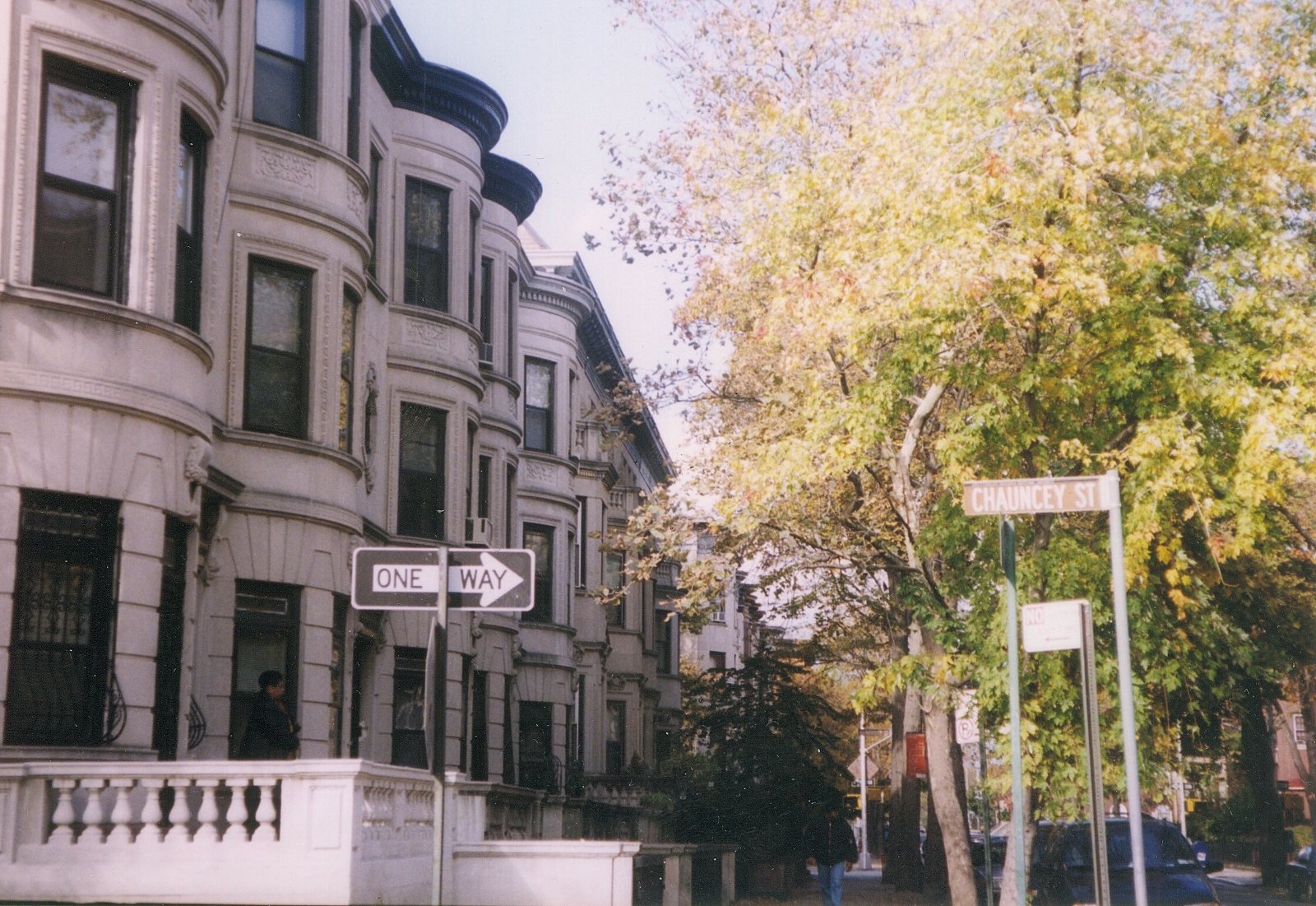 stuyvesant-heights-.jpg