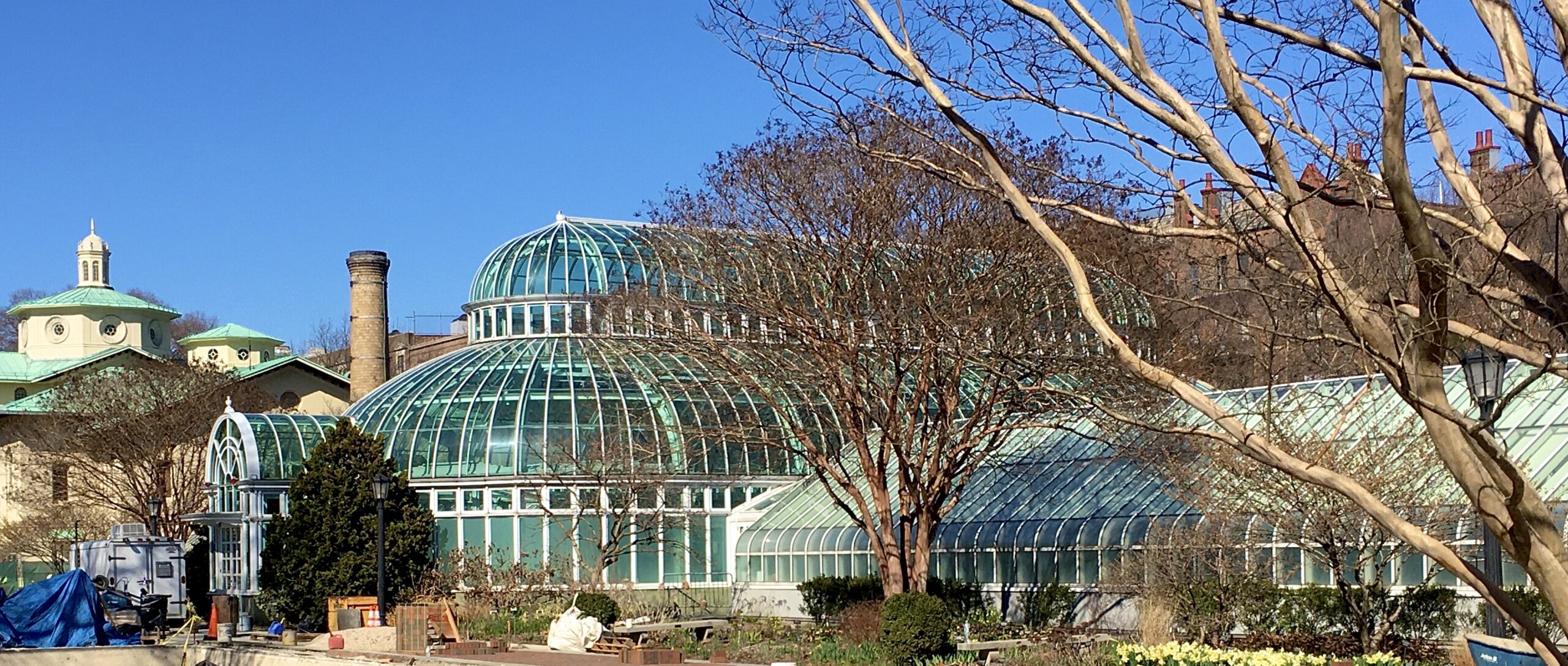When I visited Brooklyn Botanic Garden, the greenhouses had already been closed to keep people from standing close to one another. Photo: Lore Croghan/Brooklyn Eagle