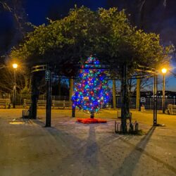 Holiday lights turned on along 13th Avenue