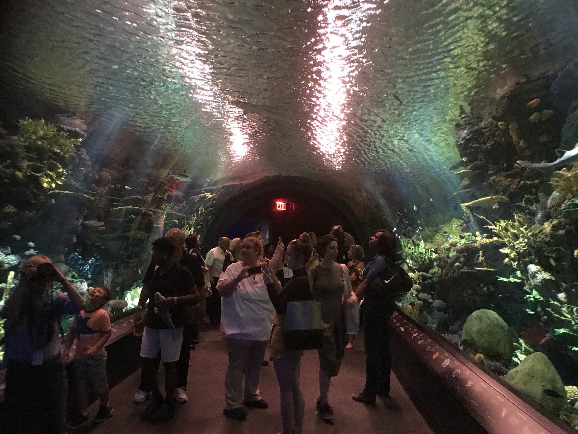 Aquarium to reopen in late July