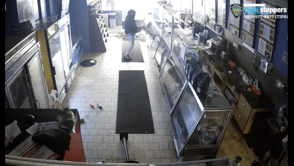 VIDEO: Police release footage of suspects in bagel shop vandalism