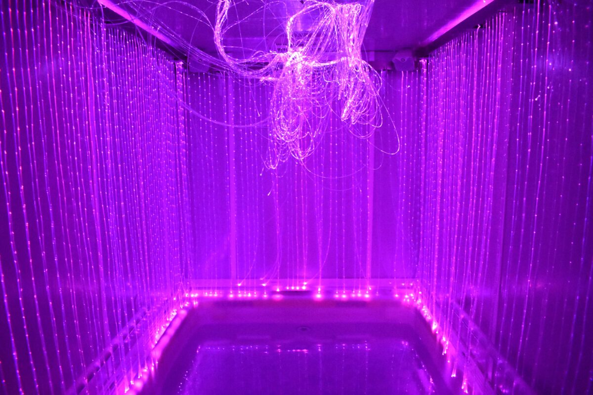 SensoryDeprivation009 Brooklyn Eagle