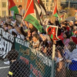 Pro-Palestine march on Brooklyn Bridge
