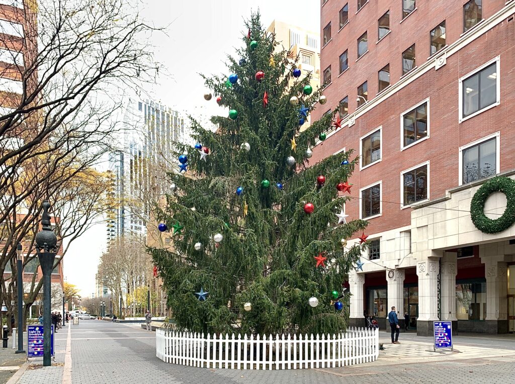 The Christmas tree at Brooklyn Commons. Photo: Mary Frost, Brooklyn Eagle
