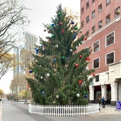 The Christmas tree at Brooklyn Commons. Photo: Mary Frost, Brooklyn Eagle
