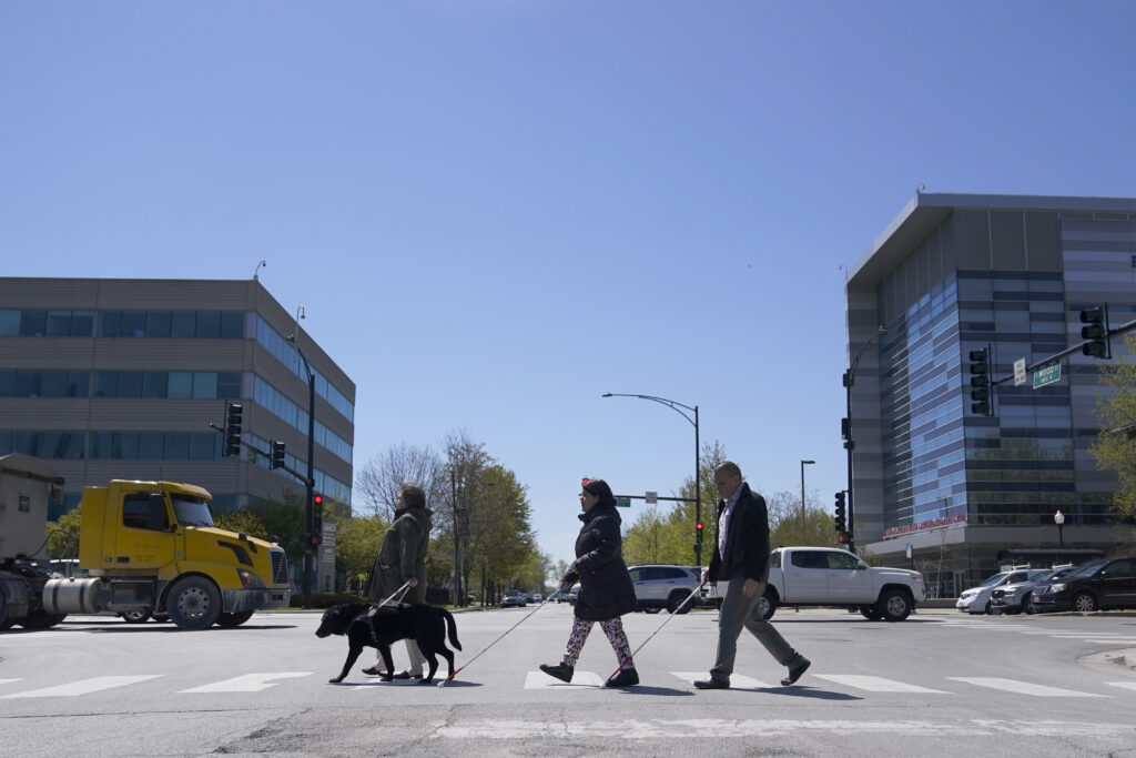 A pedestrian and her guide dog cross the street.