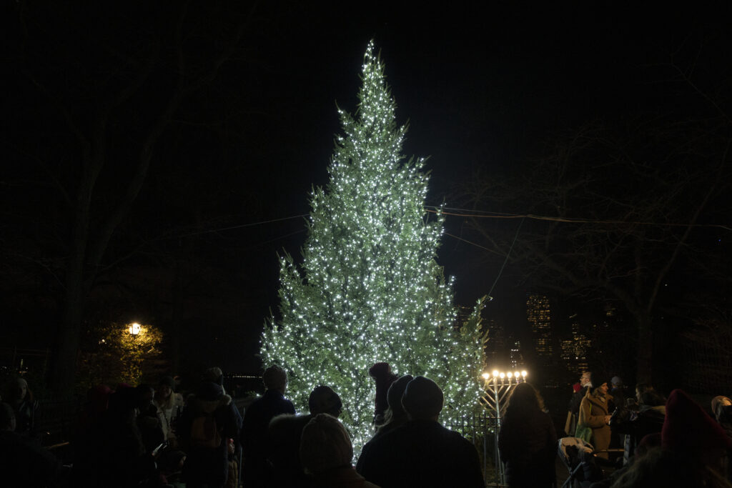 The Tree is Lit at Brooklyn Heights tree lighting.Photo: John McCarten