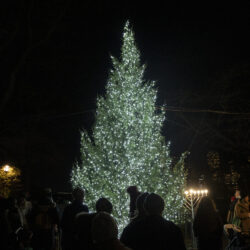 The Tree is Lit at Brooklyn Heights tree lighting.Photo: John McCarten