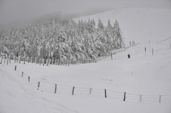 SPAIN — It’s a white winter somewhere in the world: A person walks through a snowy landscape near the French border in Ibaneta, northern Spain, Monday, Jan. 8, 2024.Photo: Alvaro Barrientos/AP