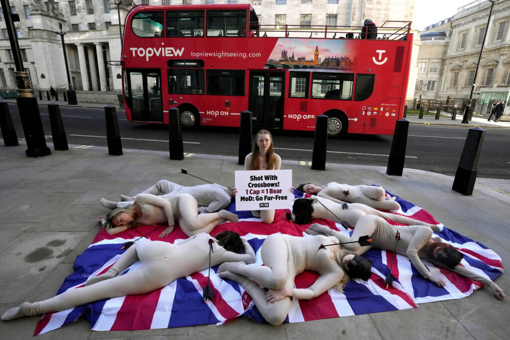 LONDON — Bare, dramatic protest of bear slaughter: PETA (People for the Ethical Treatment of Animals) supporters, dressed in little more than bear masks and covered in bloody "arrow wounds" lie on a Union Jack flag as they hold a "die-in" near the Ministry of Defence's (MoD) headquarters to protest its support of the slaughter of Canadian black bears for purely ornamental bearskin caps in London, Friday, Jan. 19, 2024.Photo: Frank Augstein/AP