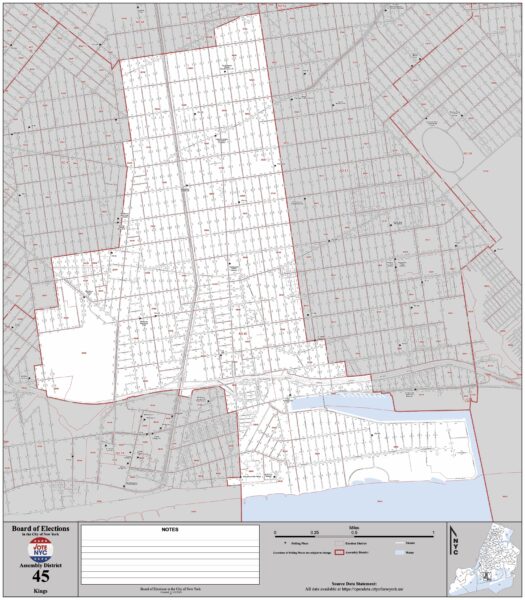 The 45th Assembly District in Brooklyn, now represented by Republican Michael “Misha” Novakhov, elected to the New York State Assembly on Nov. 8, 2022. The 45th Assembly District includes portions of Sheepshead Bay, Midwood, Manhattan Beach, Gravesend, and Brighton Beach.Photo: NYC Board of Elections
