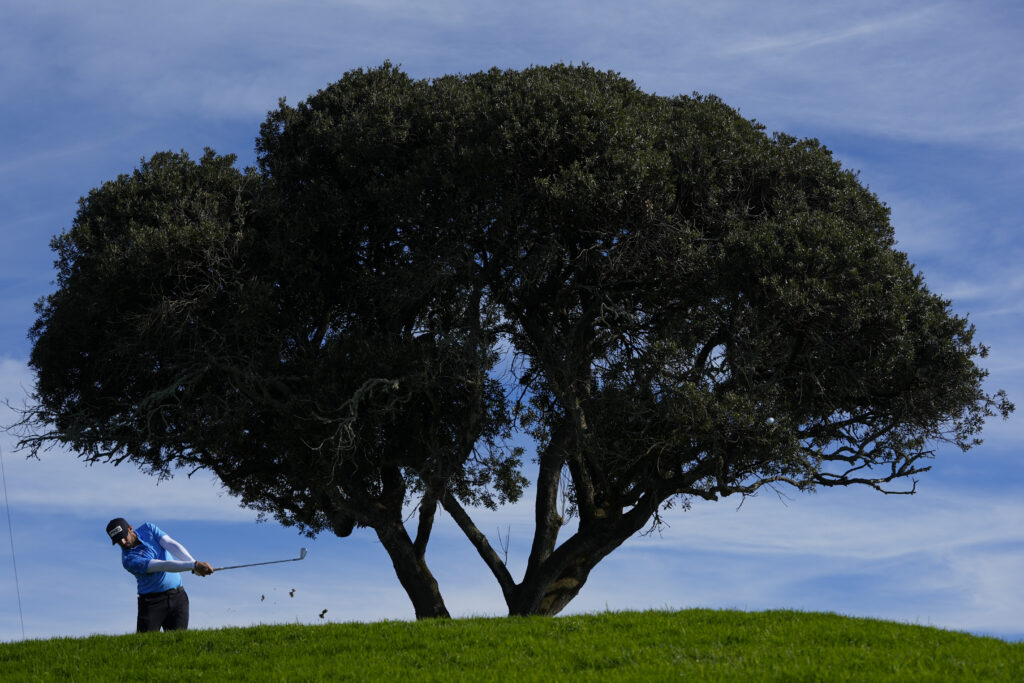 SAN DIEGO — Good thing about golf courses — they take care of the trees and the grass: Matthieu Pavon watches his tee shot on the third hole of the South Course at Torrey Pines during the final round of the Farmers Insurance Open golf tournament, Saturday, Jan. 27, 2024, in San Diego.Photo: Gregory Bull/AP