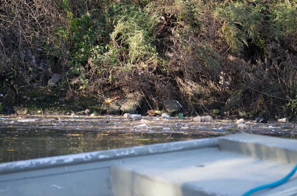 Stagnant trash sits atop the water near a CSO outfall in Newtown Creek.Photo: Cody Brooks/Brooklyn Eagle