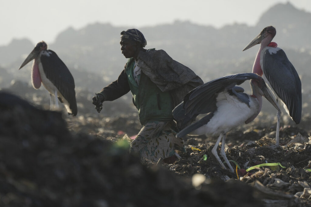 NAIROBI — Wildly disparate waste; wide array of scavengers: A woman who scavenges recyclable materials for a living (center) walks past Marabou storks feeding on a mountain of garage amidst smoke from burning trash at Dandora, the largest garbage dump in the capital Nairobi, Kenya Wednesday, March 20, 2024. U.N. agencies have warned that electrical and electronic waste is piling up worldwide while recycling rates continue to remain low and are likely to fall even further.Photo: Brian Inganga/AP