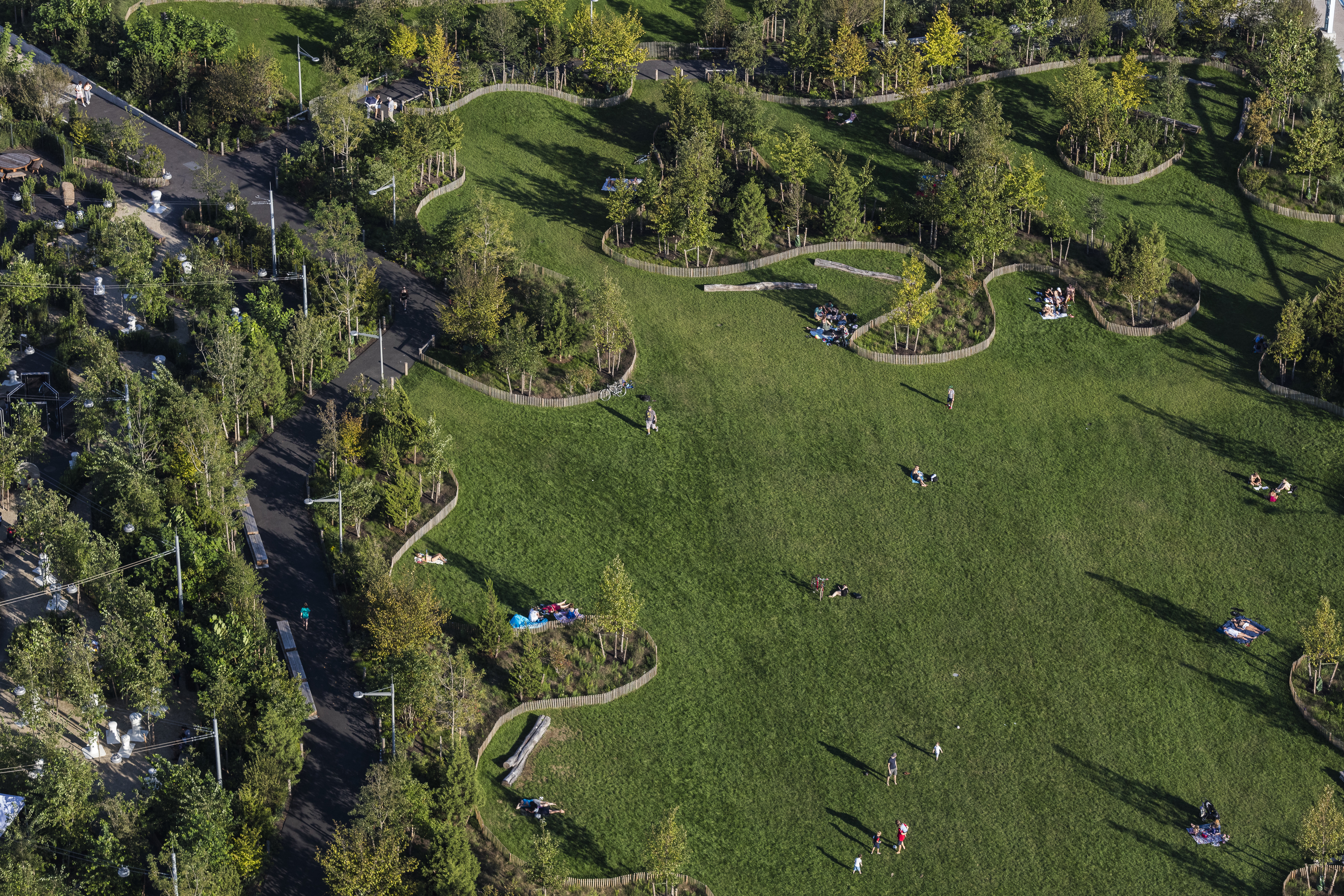 Ariel view of sunbathers in the park. Photo: Alex MacLean