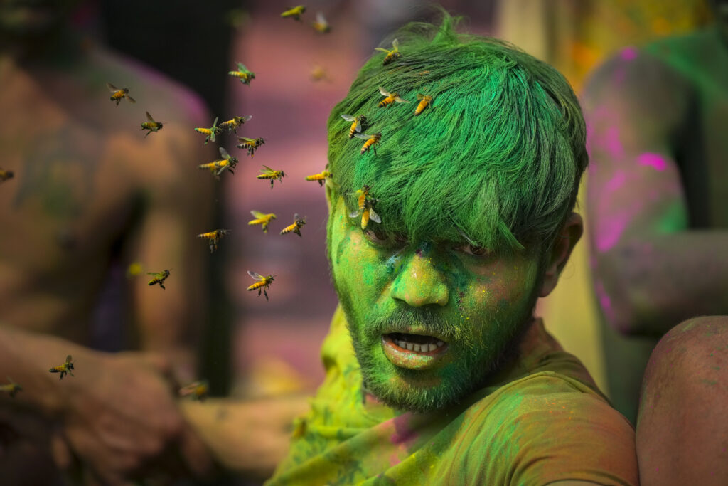 GUWAHATI — ‘Oh God, I chose the wrong color’: A swarm of bees attack a drunk man during celebrations marking Holi, the Hindu festival of colors, in Guwahati, India, Monday, March 25, 2024.Photo: Anupam Nath/AP
