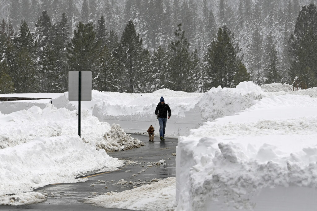 CALIFORNIA — ‘The snow is as high as an elephant’s eye…’: A person walks a dog in the Donner Lake neighborhood on Monday, March 4, 2024, in Truckee, CA. A powerful blizzard that closed highways and ski resorts had moved through the Sierra Nevada by early Monday, but forecasters warned that more snow was on the way for the Northern California mountains.Photo: Andy Barron/AP