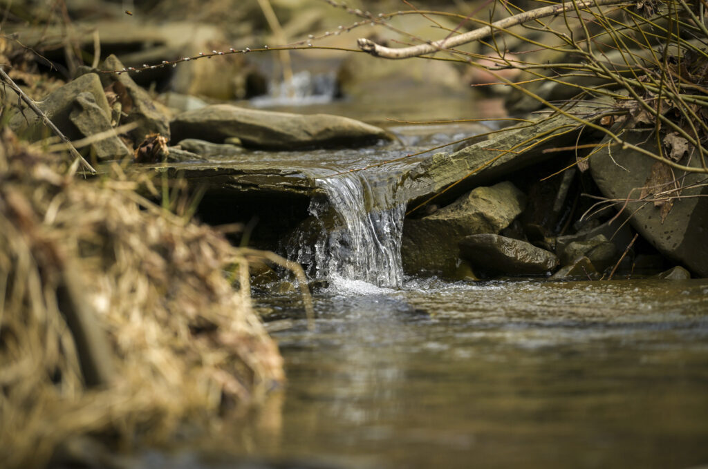 A creek flows along the 125-acre property owned by Joan and Harold Koster, Wednesday, March 13, 2024, in Whitney Point, N.Y.