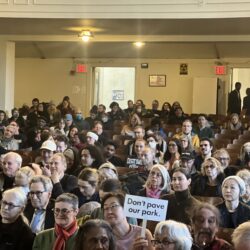 Several hundred community members made their presence felt at the first official public gathering for the proposed “Brooklyn Skate Garden.”