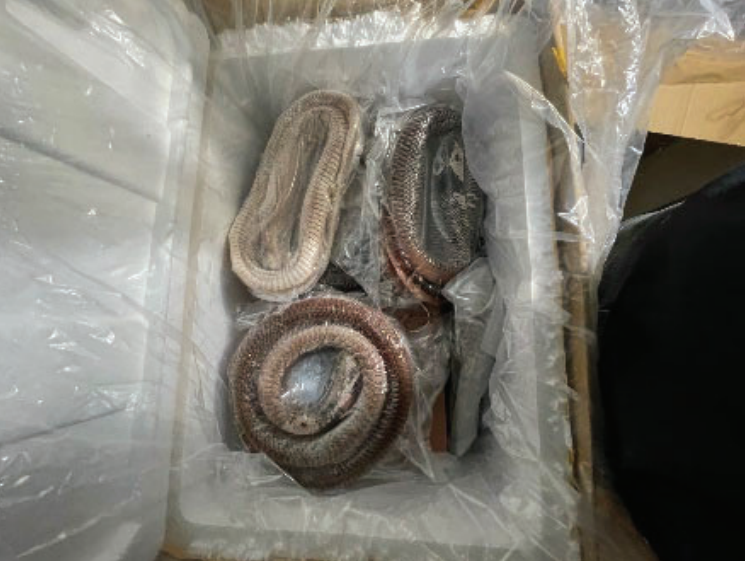 Six people were arrested on Tuesday in Brooklyn federal court and charged with smuggling illicit meat, including goose and duck intestines, from China, through Los Angeles and into New York City.Photo courtesy of U.S. Attorney’s Office