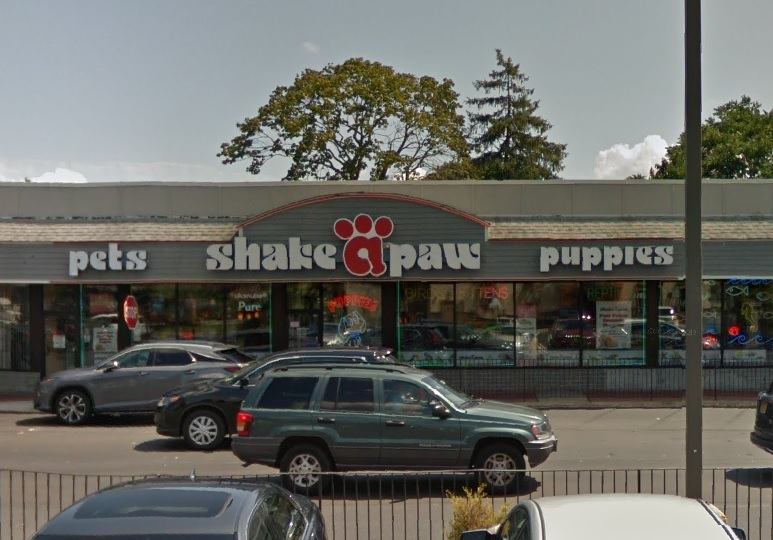 Shake A Paw, a pet store in Hicksville, Long Island.Image via Google Street View