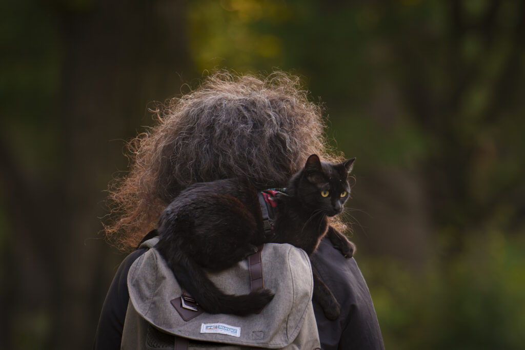 A cat sits on a woman's shoulders in Cismigiu park, in Bucharest, Romania, Wednesday, April 24, 2024. (AP Photo/Vadim Ghirda)