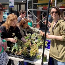 On Hoyt Street between State Street and Atlantic Avenue, The Hort gave away free plants.