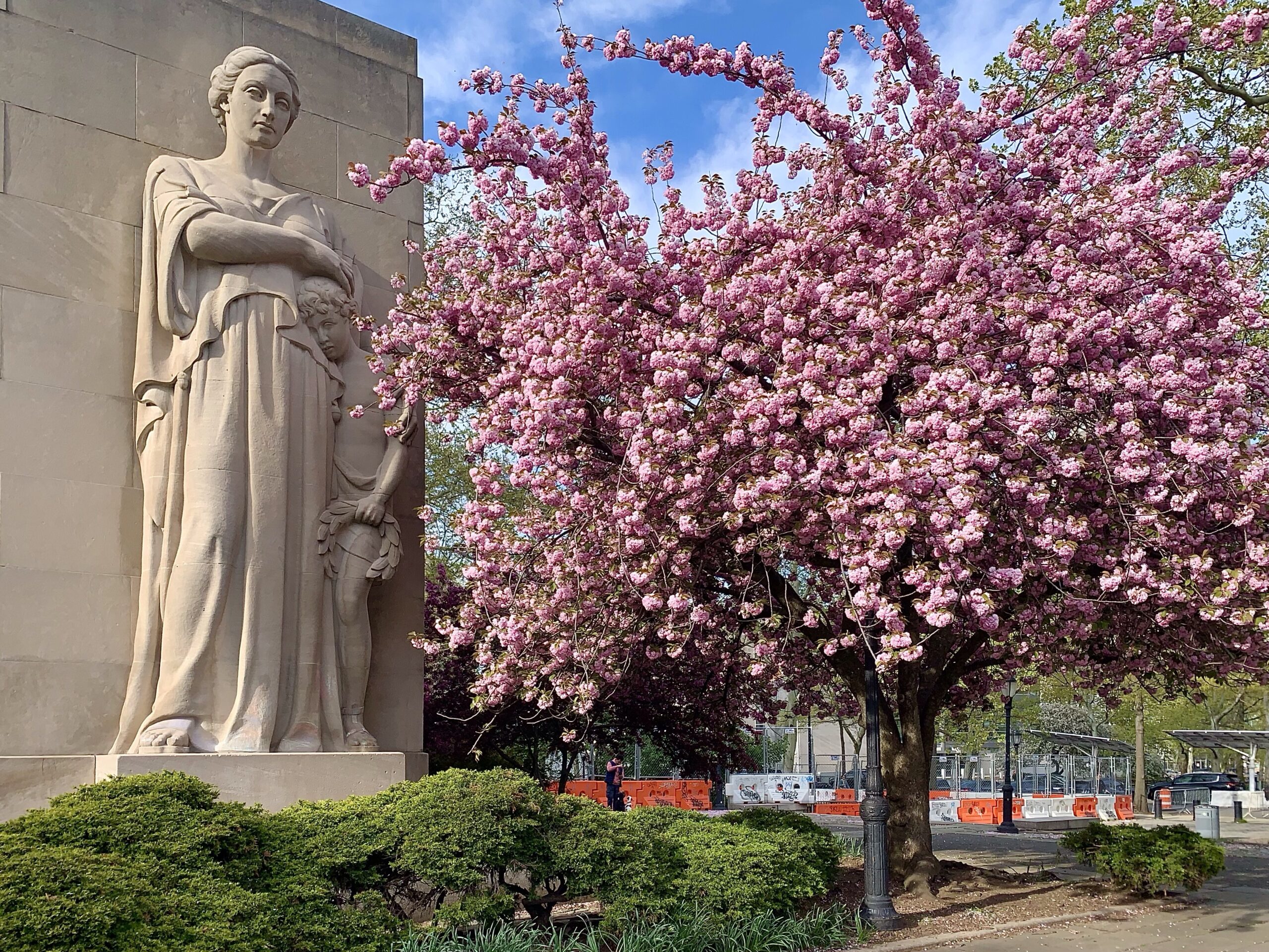 This monumental sculpture by Charles Keck at the Brooklyn War Memorial in Cadman Plaza Park has seen 73 springs come and go since she was dedicated in 1951. Blooming next to her is a magnificent Japanese Flowering Cherry.
