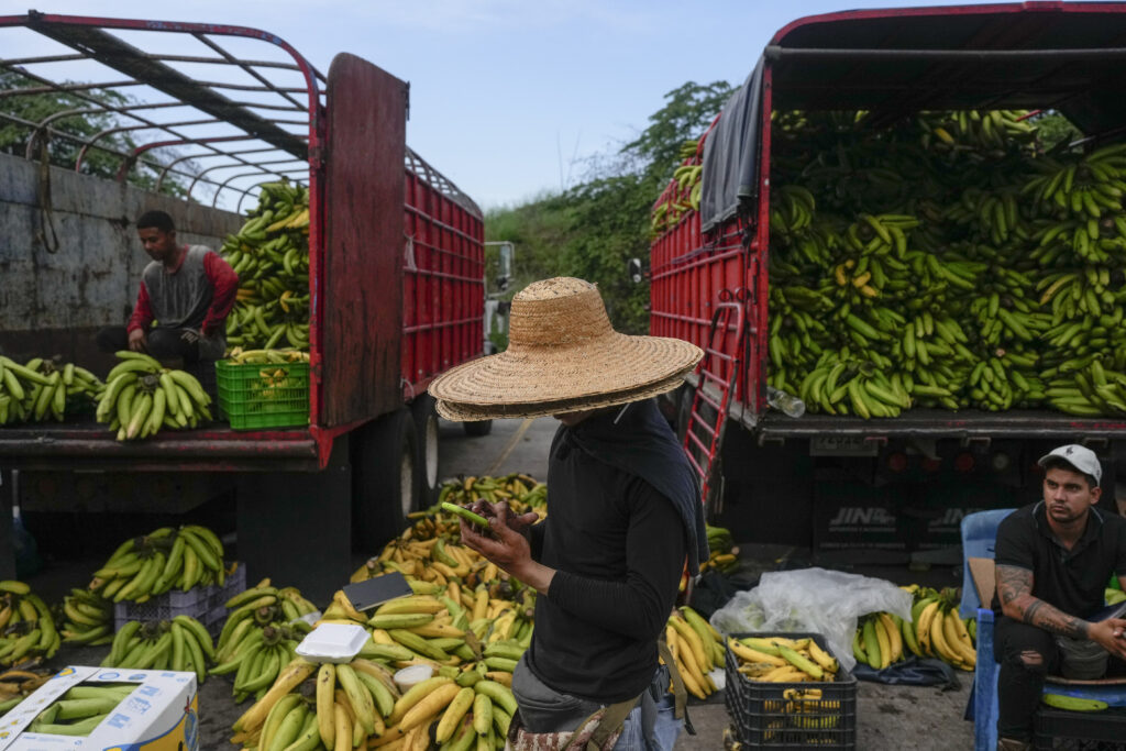 Bananas are for sale at Merca Panama wholesale market in Panama City, Tuesday, April 30, 2024. (AP Photo/Matias Delacroix)