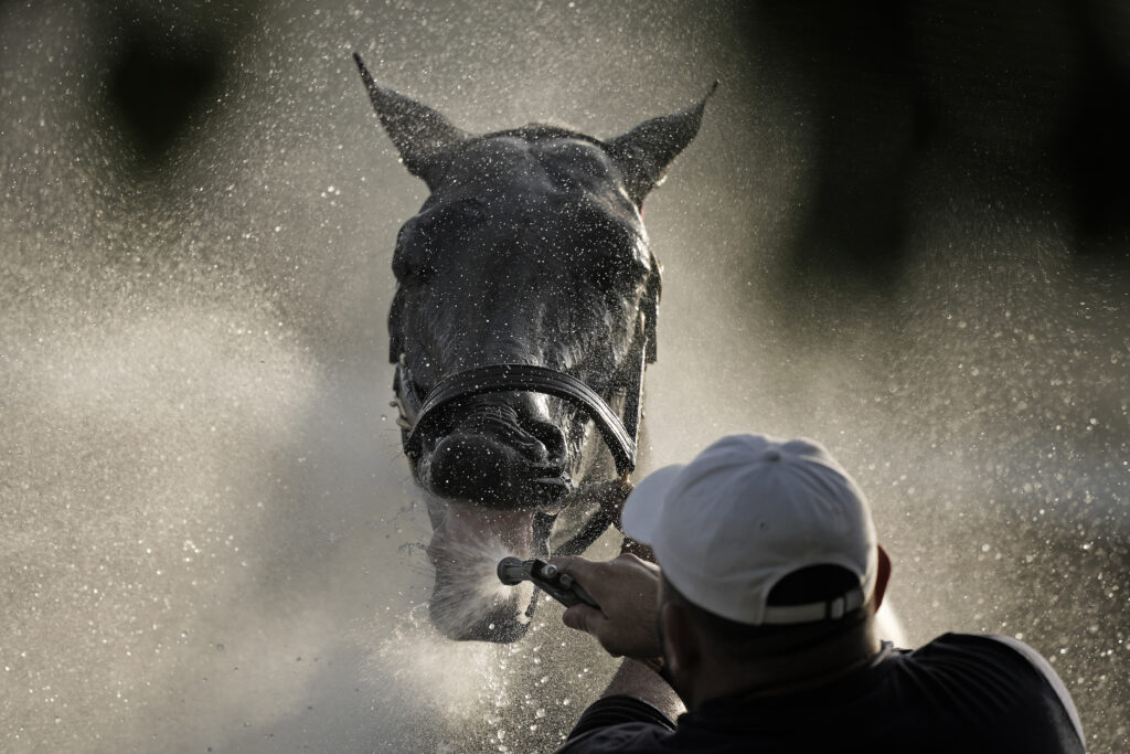 Kentucky Derby entrant Grand Mo The First gets a bath after a workout at Churchill Downs Thursday, May 2, 2024, in Louisville, Ky. The 150th running of the Kentucky Derby is scheduled for Saturday, May 4. (AP Photo/Charlie Riedel)