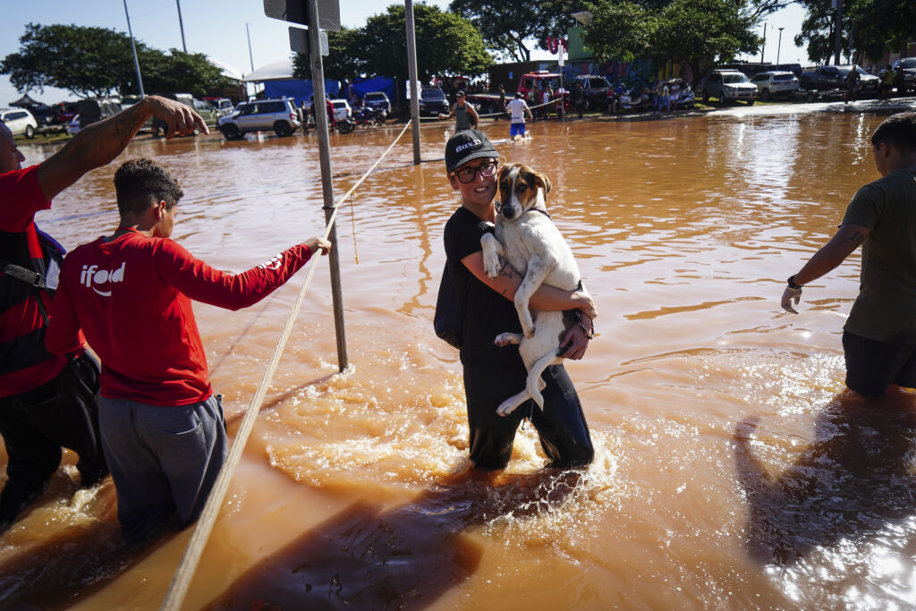 A woman cradling a dog wades through a street flooded after heavy rain in Porto Alegre, Rio Grande do Sul state, Brazil, Monday, May 6, 2024. (AP Photo/Carlos Macedo)