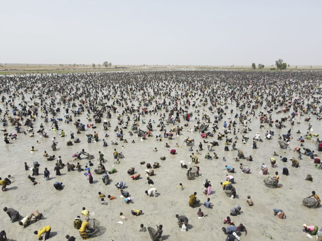Thousands of fishermen fill a large muddy pond and cast their nets in the southern Mali town of San, Thursday, June 6, 2024, for Snake mon, a collective fishing rite that begins with animal sacrifices and offerings to the water spirits of Sanké pond. For several hundred years, people have gathered for the rite, which is on UNESCO's list of intangible cultural heritage. Heatwaves in Mali in recent years have caused the pond to start drying out. (AP Photo/Moustapha Diallo)