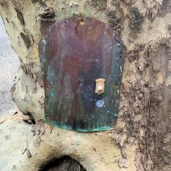 Numerous fairy doors have recently appeared on trees in Brooklyn Heights. Photo: Mary Frost, Brooklyn Eagle