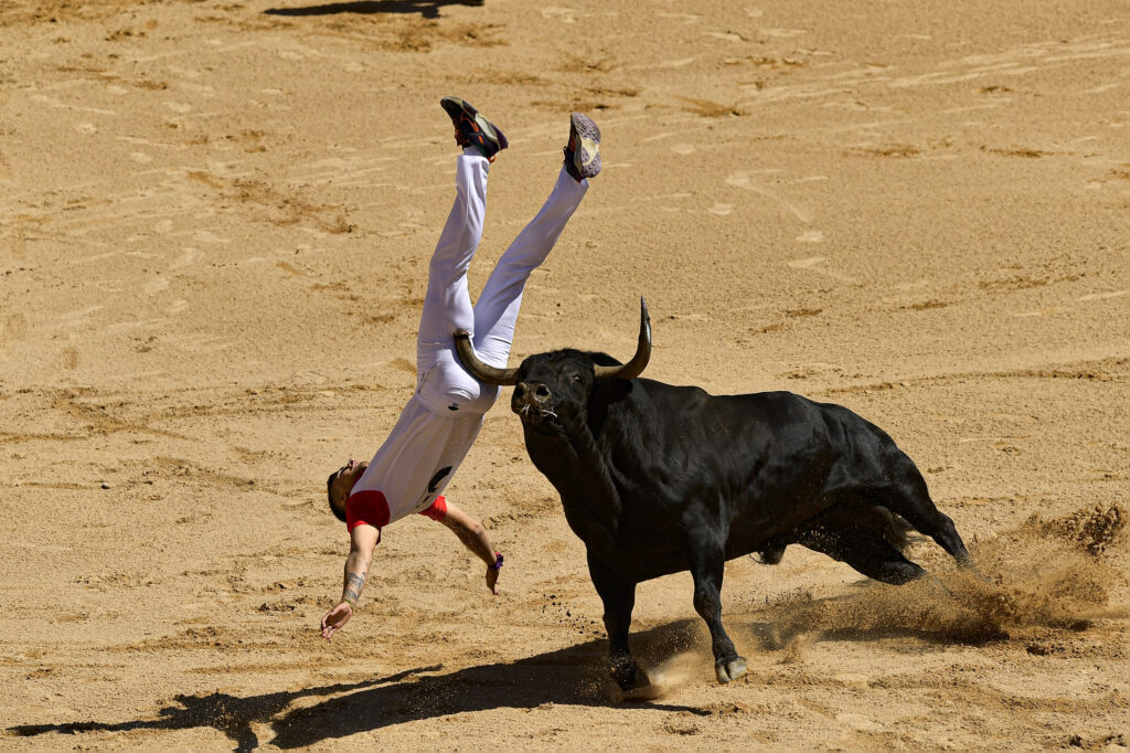 A ''Recortador'' is gored by a bull in the bull ring during the Recortadores festival at the San Fermin fiestas in Pamplona, northern Spain, Sunday, July 7, 2024. (AP Photo/Alvaro Barrientos)