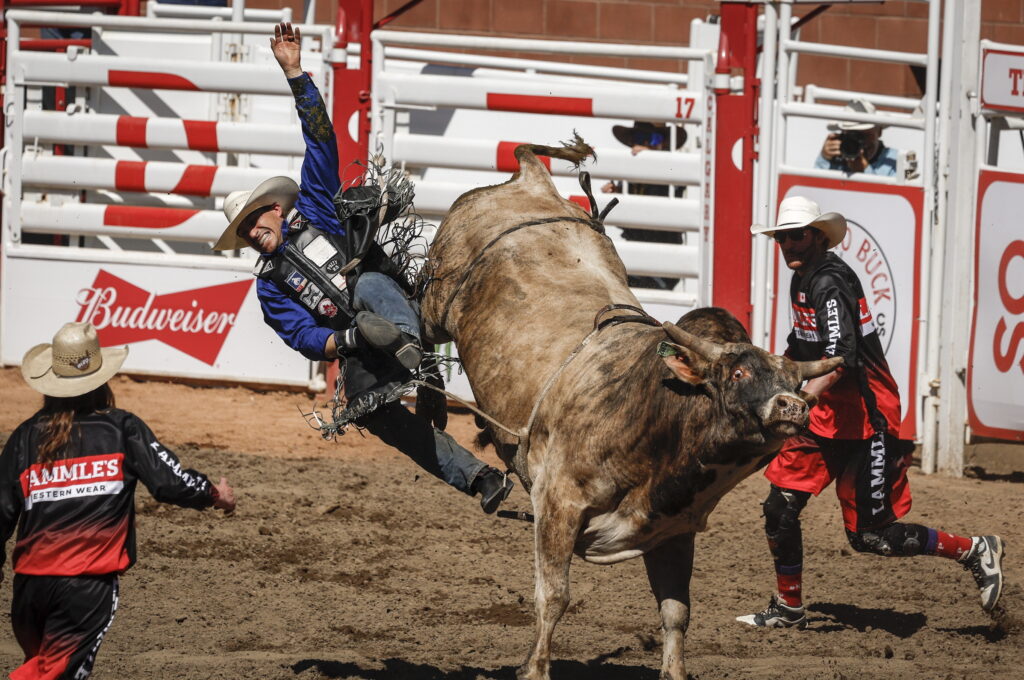 Edgar Durazo, of Moctezuma, Mexico, is bucked off Church Bells during bull riding rodeo action at the Calgary Stampede in Calgary, Alberta, Sunday, July 7, 2024. (Jeff McIntosh/The Canadian Press via AP)