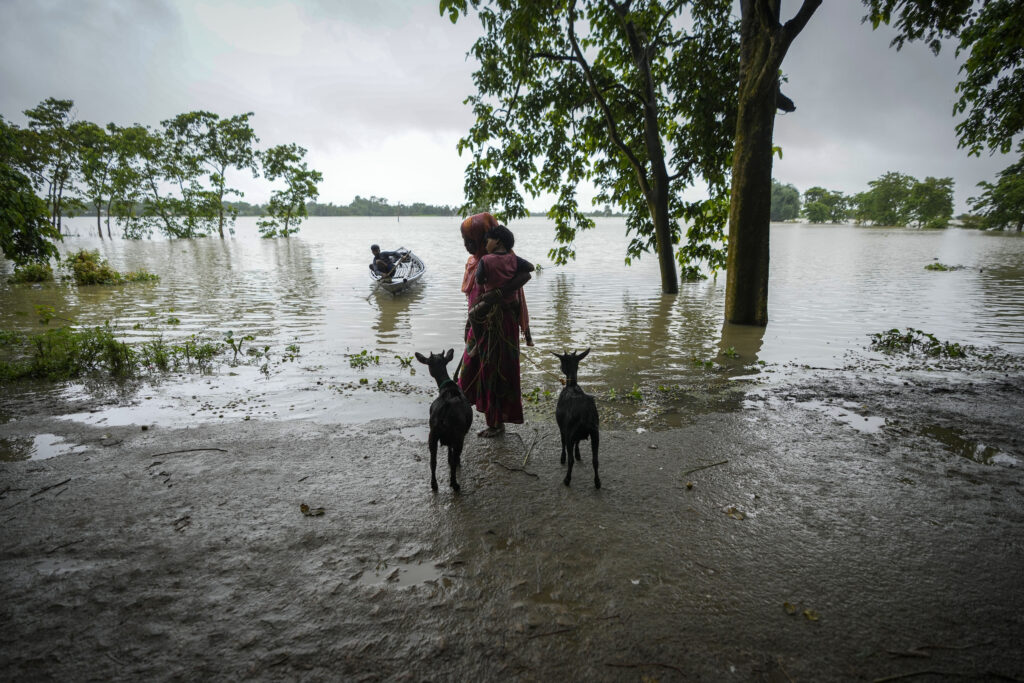 A flood affected woman waits to transport her goats in a country boat in Sildubi village in Morigaon district in the northeastern state of Assam, India, Tuesday, July 2, 2024. Floods and landslides triggered by heavy rains have killed more than a dozen people over the last two weeks in India's northeast. (AP photo/Anupam Nath)