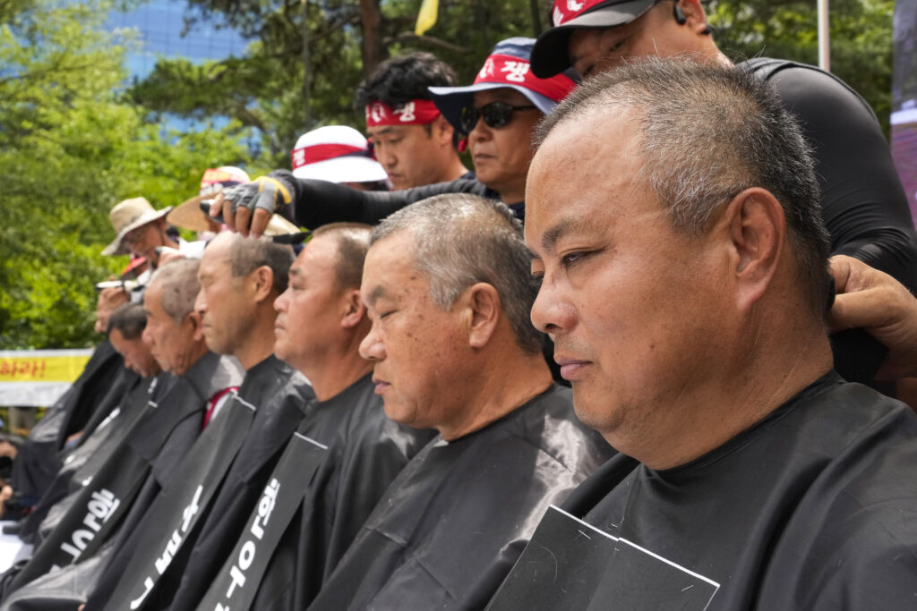Leaders of Korean cattle farmers who are demanding a reduction in cattle feed price, have their heads shaved as they stage a rally near the National Assembly in Seoul, South Korea, Wednesday, July 3, 2024. Hundreds of farmers called for the stabilization of the Hanwoo industry. Hanwoo is a breed of cattle native to Korea. (AP Photo/Ahn Young-joon)