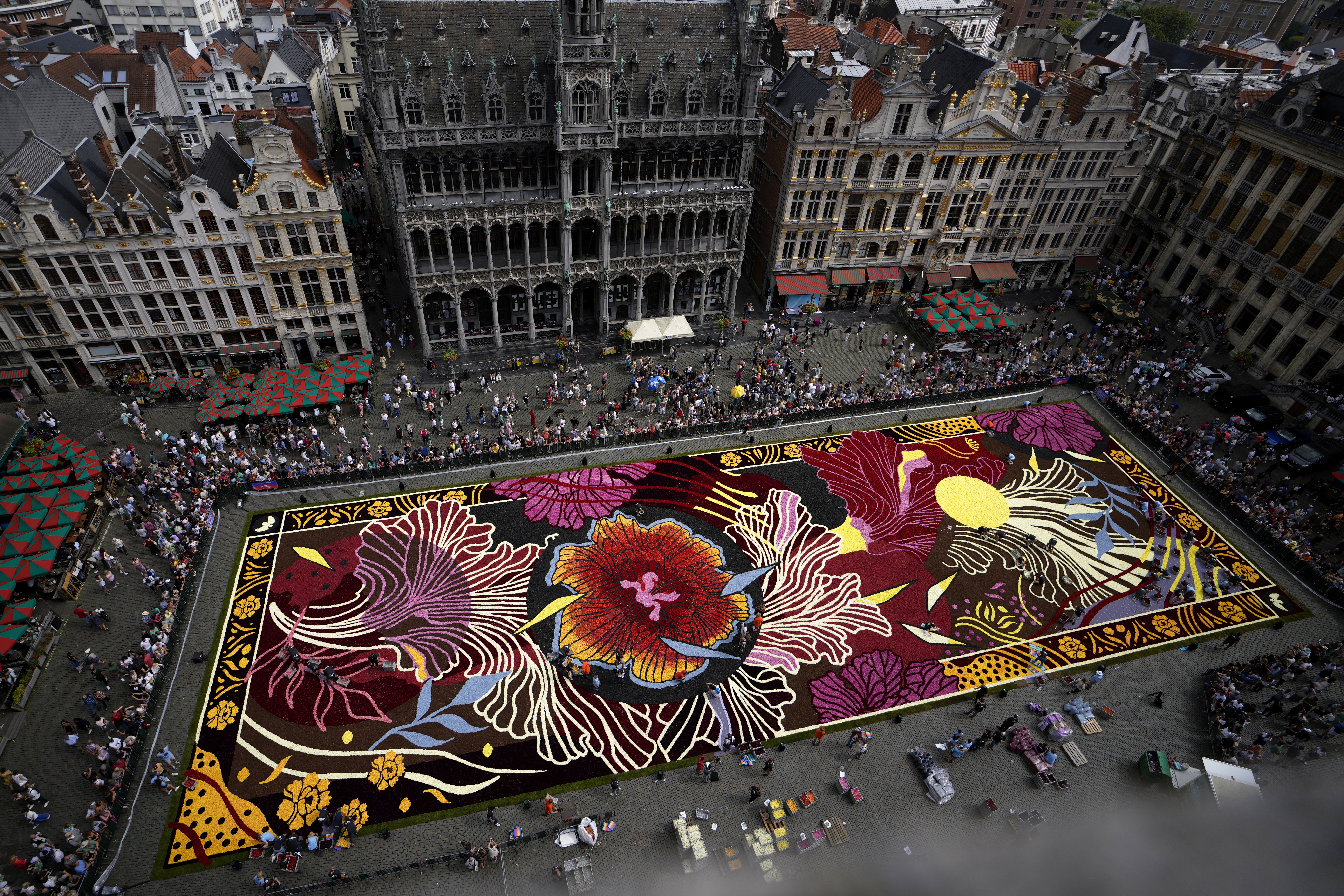 Volunteers work placing Belgian grown begonia's into a giant flower carpet with an Art Nouveau theme at the historic Grand Place in Brussels, Thursday, Aug. 15, 2024. (AP Photo/Virginia Mayo)