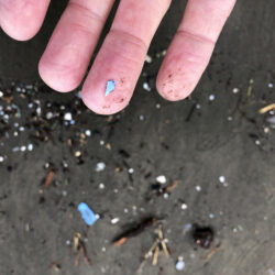 This photo shows microplastic debris that has washed up at Depoe Bay. Photo: Andrew Selsky/AP