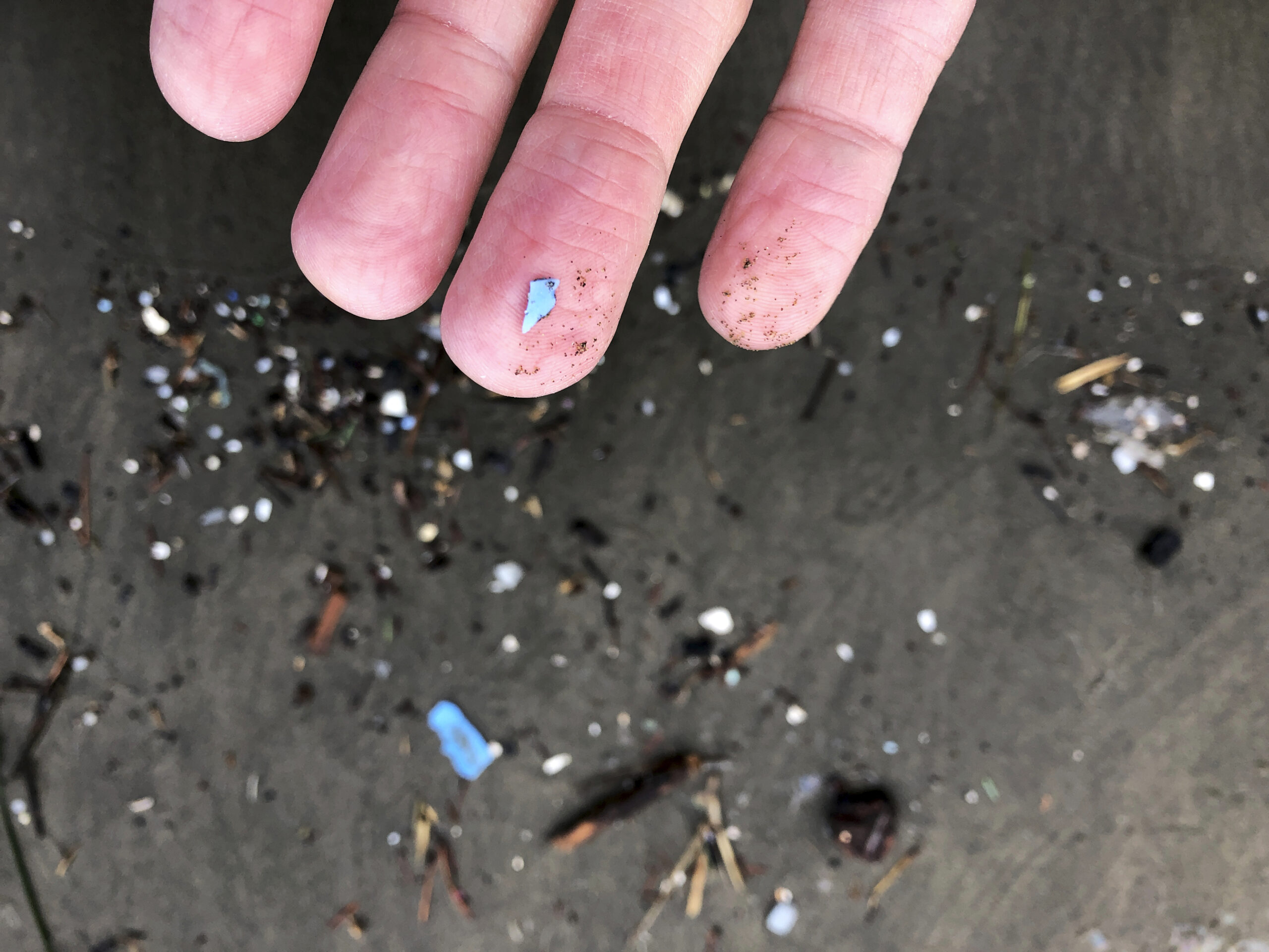 This photo shows microplastic debris that has washed up at Depoe Bay. Photo: Andrew Selsky/AP