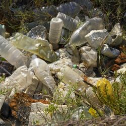 Plastic bottles and other garbage are seen next to a beach near Rome. We breathe, eat and drink tiny particles of plastic. But are these minuscule specks in the body harmless, dangerous or somewhere in between? Photo: Andrew Medichini/AP